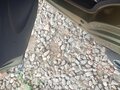 2011 Daewoo Matiz I Рестайлинг, золотистый, 400000 рублей - вид 5