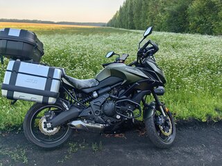 2018 Kawasaki Versys 650, зелёный, 699000 рублей, вид 4