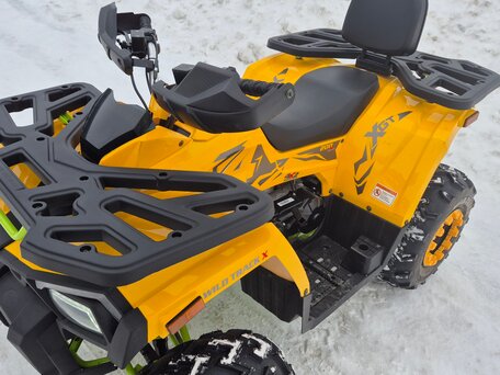 2024 Motoland Wild Track 200, золотистый, 215000 рублей, вид 1