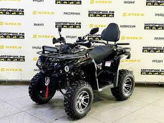 2026 Bison Hammer 200, чёрный, 229000 рублей, вид 1