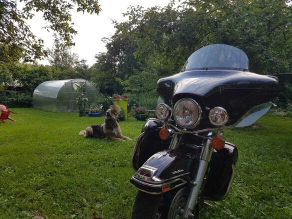2004 Harley-Davidson Electra Glide, оранжевый, 900000 рублей - вид 12