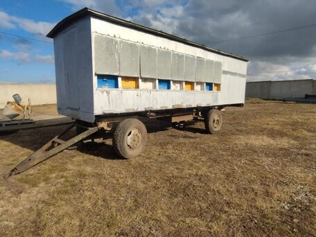 1987 ЗиД Енот, серебристый, 150000 рублей, вид 2