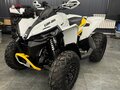2023 BRP Can-Am Renegade 1000, серый, 2400000 рублей