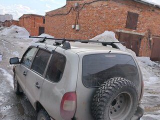 2008 Chevrolet Niva I, серый, 490000 рублей, вид 3