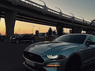 2017 Ford Mustang VI Рестайлинг, серый, 2200000 рублей, вид 1