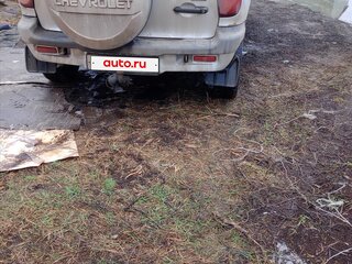2008 Chevrolet Niva I, серебристый, 250000 рублей, вид 4