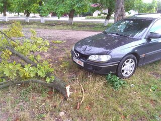 1997 Opel Omega B, чёрный, 160000 рублей, вид 5
