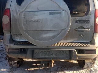 2010 Chevrolet Niva I Рестайлинг, серебристый, 550000 рублей, вид 1