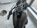 2021 Harley-Davidson Softail Slim, коричневый, 1699805 рублей - вид 6