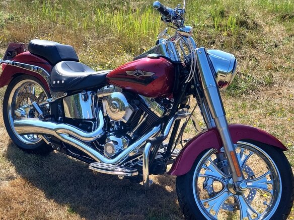 2007 Harley-Davidson Fat Boy, красный, 1500000 рублей - вид 13