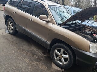 2004 Hyundai Santa Fe I, коричневый, 460000 рублей, вид 2