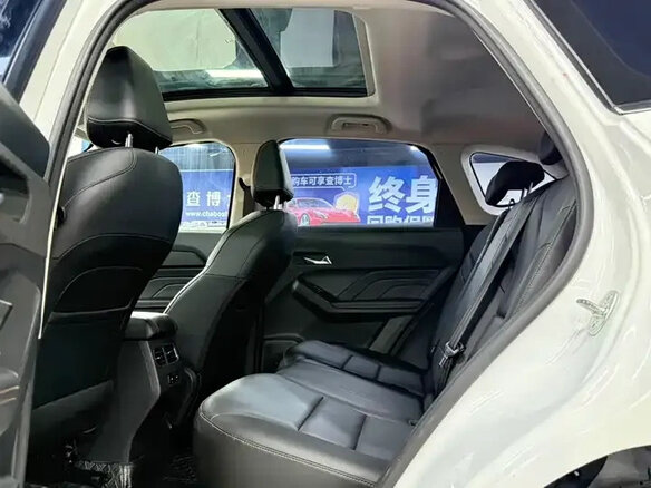 2022 Haval Chitu, белый, 1082000 рублей - вид 14