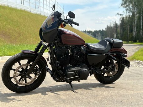 2019 Harley-Davidson Sportster 1200, коричневый, 930000 рублей, вид 1