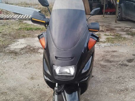 1997 Yamaha Majesty 250, чёрный, 100000 рублей, вид 2