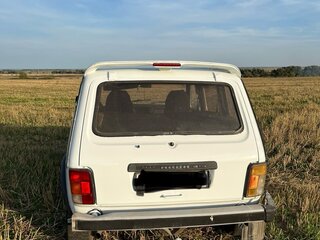 2002 Lada (ВАЗ) 2131 (4x4) I, белый, 210000 рублей, вид 3