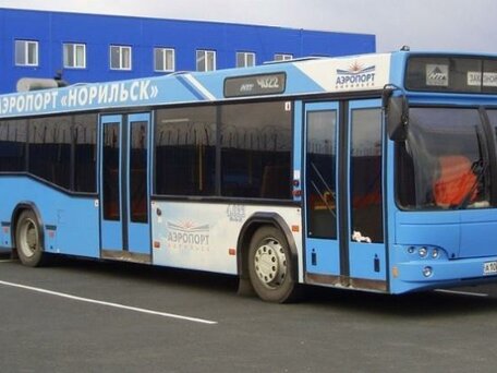 2012 МАЗ 103, синий, 6500000 рублей, вид 3