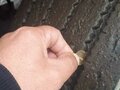 2016 КамАЗ 6460, жёлтый, 2700000 рублей - вид 11