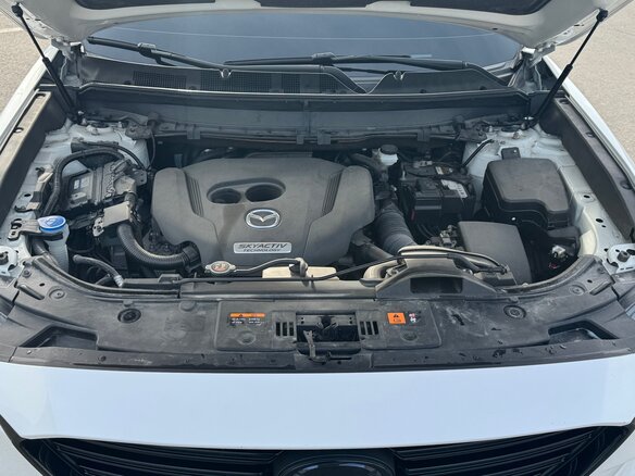 2017 Mazda CX-9 II, белый, 3700000 рублей - вид 23