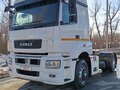 2018 КамАЗ 5490 NEO, белый, 2300000 рублей - вид 11