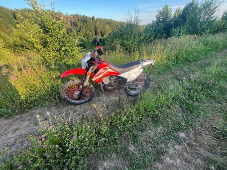 2019 Motoland RZ200, красный, 95000 рублей, вид 4