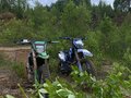 2024 Motoland XT 250 ST, зелёный, 125000 рублей