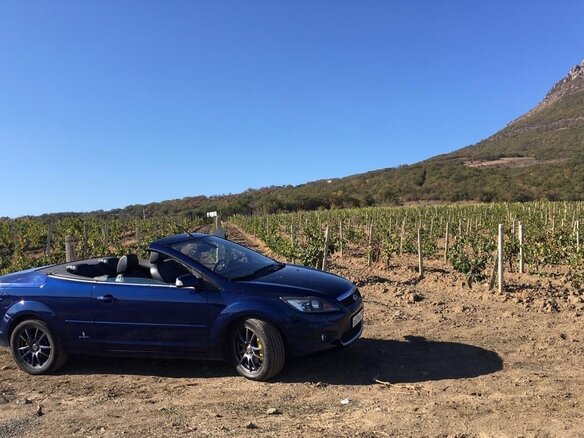 2008 Ford Focus II Рестайлинг, синий - вид 14