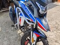 2024 Motoland XL250, белый, 225000 рублей - вид 2