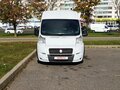 2008 Fiat Professional Ducato, белый, 1146215 рублей