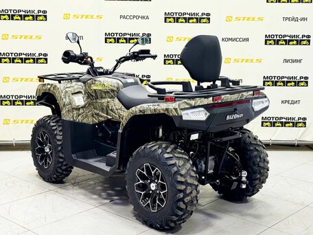 2026 Bizon YK450L EPS, коричневый, 649900 рублей, вид 3