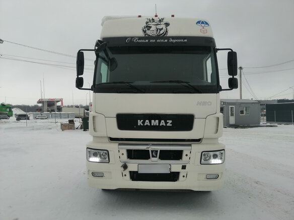 2018 КамАЗ 5490 NEO, белый - вид 15