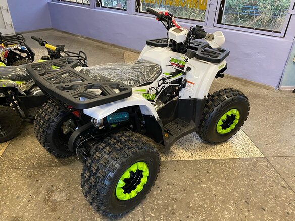 2023 Motoland Wild 125, белый - вид 4