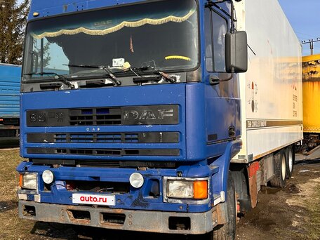 1991 DAF XF 95, синий, 1600000 рублей, вид 1
