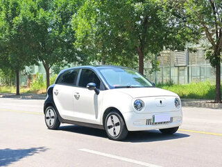 2022 Ora Black Cat 28.5 kWh, белый, 1050000 рублей, вид 3