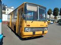 1989 Ikarus 260/263, золотистый, 551882 рублей