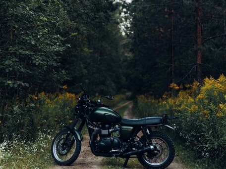 2012 Triumph Scrambler, зелёный, 640000 рублей, вид 1