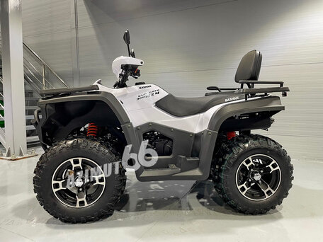2025 Bashan Explorer 320, белый, 499000 рублей, вид 2