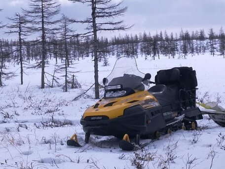 2008 BRP Lynx Yeti Pro Army, жёлтый, 900000 рублей, вид 1