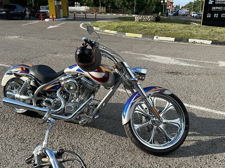 2007 Arlen Ness Lowliner, серебристый, 2300000 рублей, вид 2