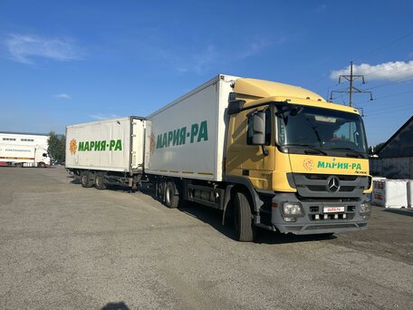 2011 Mercedes-Benz Actros, жёлтый, 2800000 рублей, вид 1