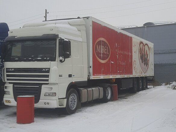 2014 DAF XF 105, белый, 6000000 рублей - вид 11