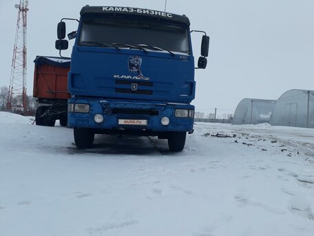 2012 КамАЗ 65117, синий, 2500000 рублей, вид 2