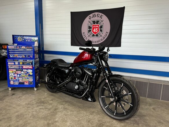 2017 Harley-Davidson Sportster 883, чёрный, 1200000 рублей - вид 14