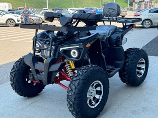 2024 Другие ATV (другие), чёрный, 230000 рублей, вид 2