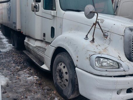 2002 Freightliner Columbia, белый, 1350000 рублей, вид 2