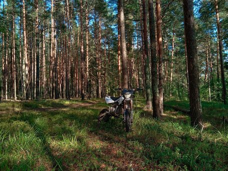 2019 Motoland MX 140, белый, 79999 рублей, вид 1