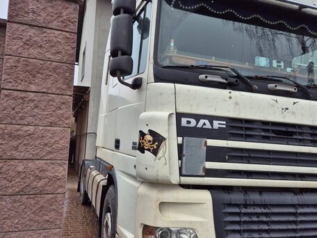 2006 DAF XF 95, белый, 1100000 рублей, вид 5