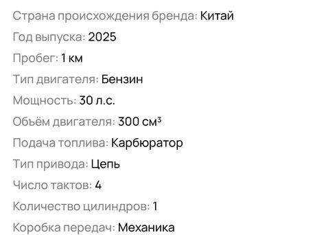 2025 Другие Мотоциклы (другие), коричневый, 165000 рублей, вид 2