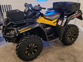 2010 BRP Can-Am Outlander 650, чёрный, 985000 рублей - вид 9