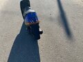 2005 Suzuki Address V50, синий, 40000 рублей - вид 1