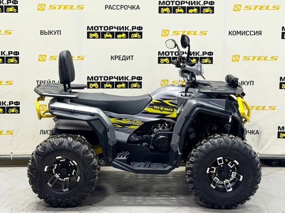 2026 Bison ATV 250F, серый - вид 5